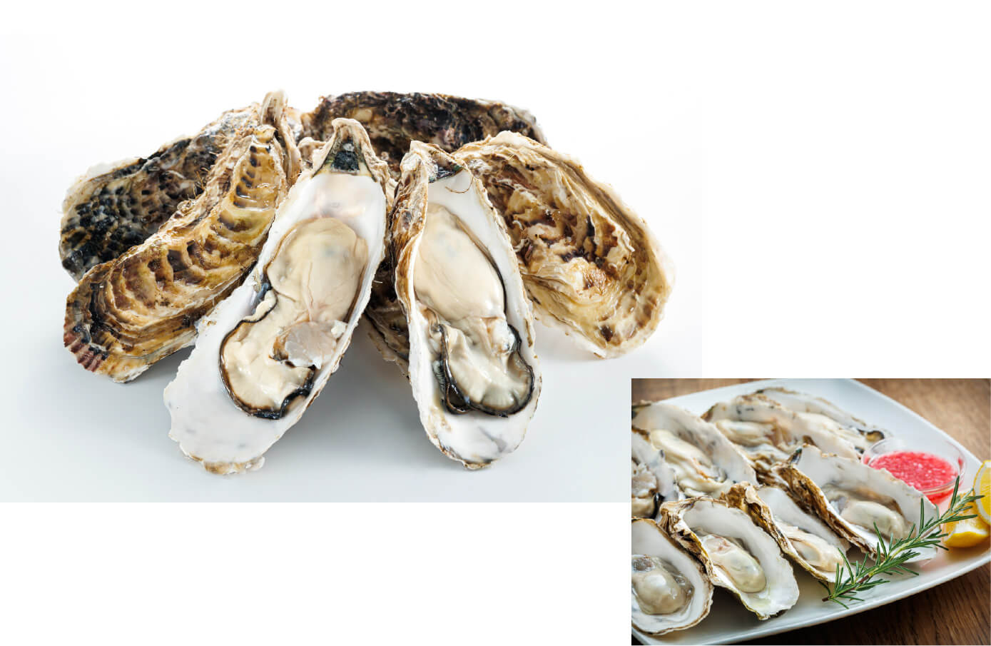 北海道 昆布森產 昆布1長片