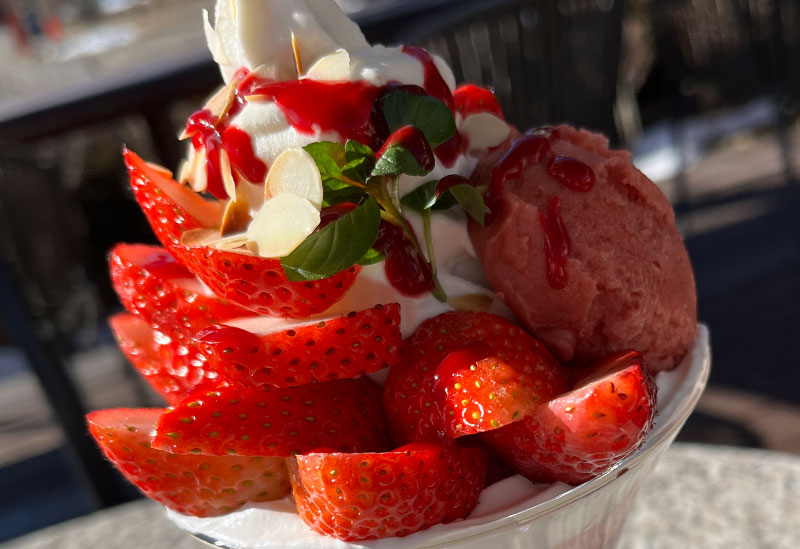 木の花美術館 オルソンさんのいちご