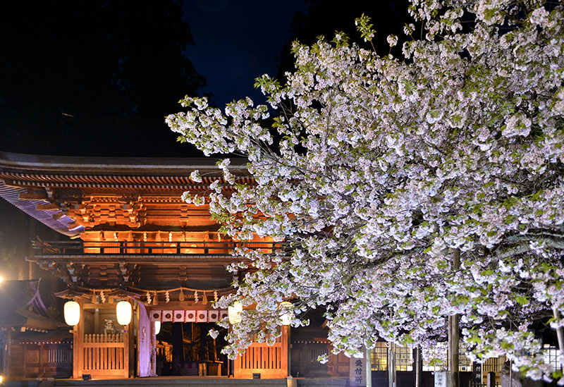 岩代国一之宮・会津総鎮守　伊佐須美神社