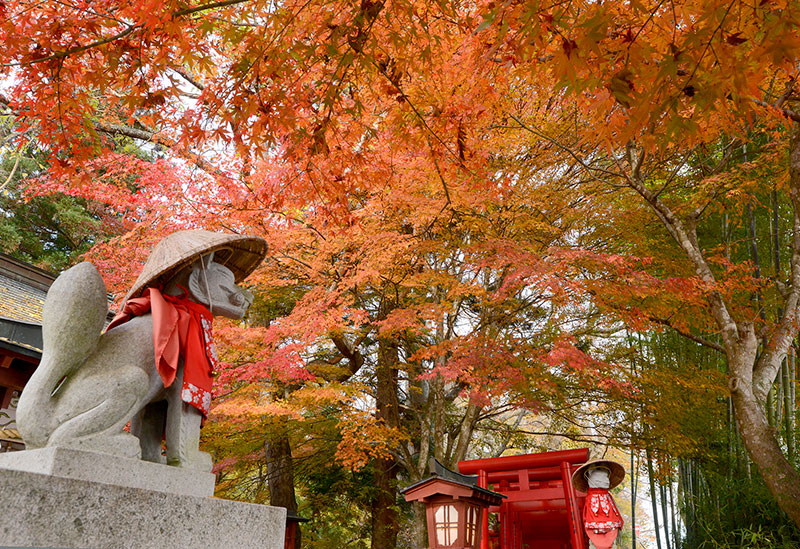 岩代国一之宮・会津総鎮守　伊佐須美神社