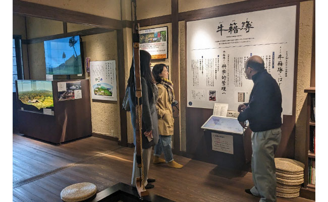 展區詳盡說明但馬牛、神戶牛的歷史與價值