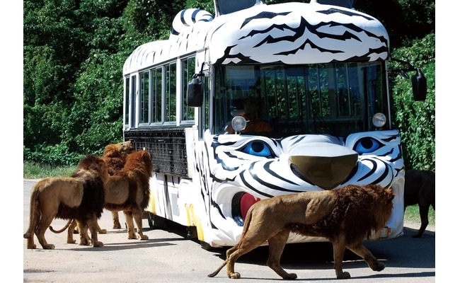 秋吉台自然動物園 Safari Land