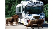 秋吉台自然動物園 Safari Land