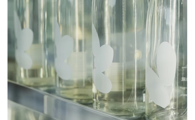 充滿水果香氣、喝起來順口是其特色