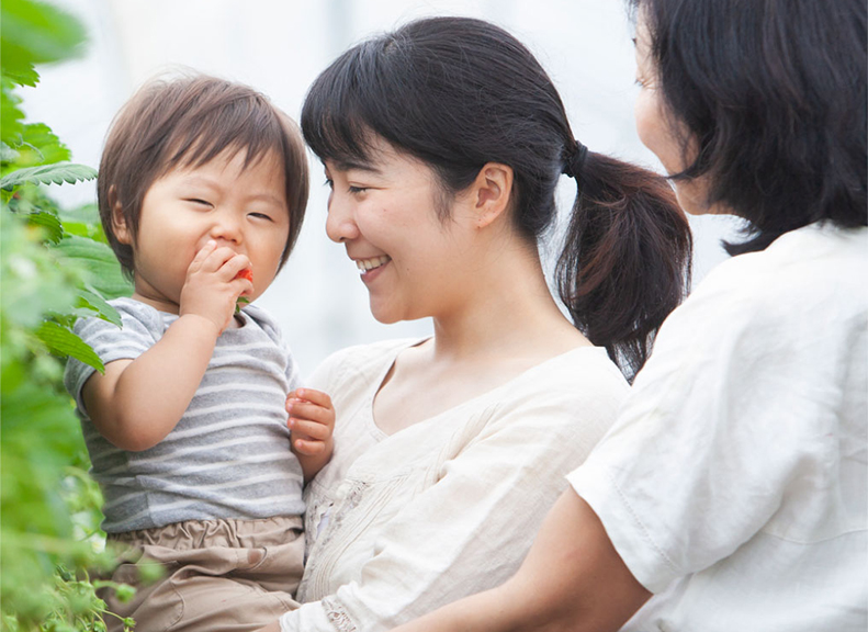 1～5月底左右盡情享受「採草莓」
