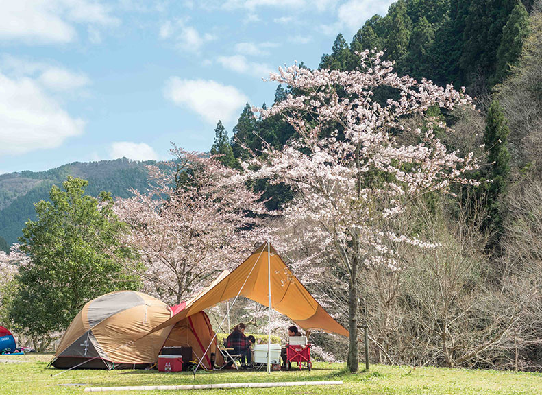與夥伴愉快地談天說地大自然的露營場