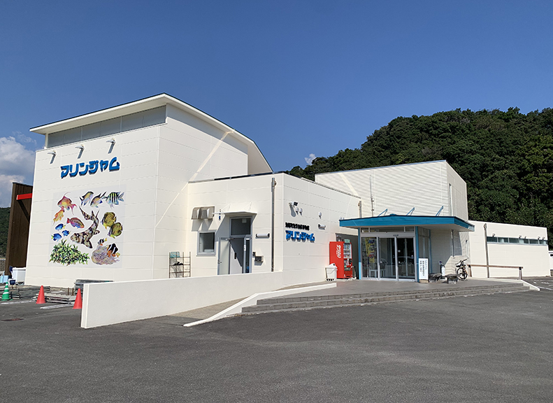 搭乘海中觀光船時前往夢幻郵輪之旅