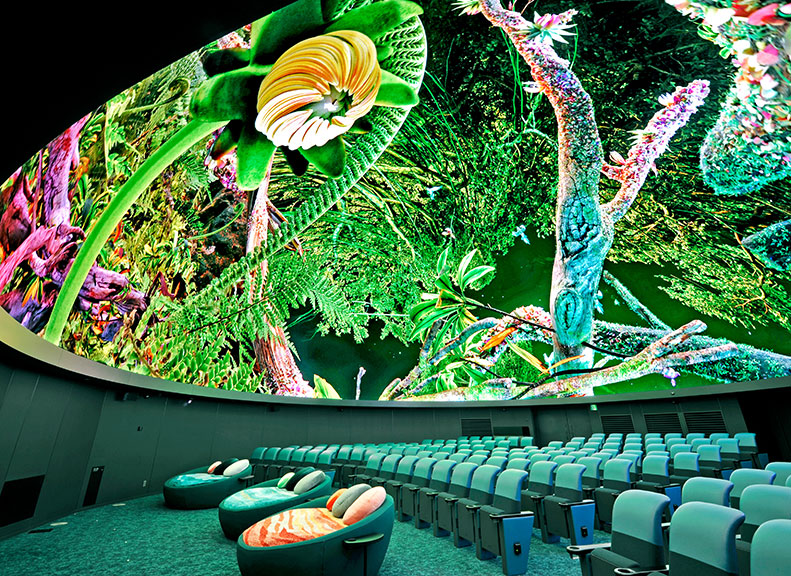 情境而定種類繁多的影片作品