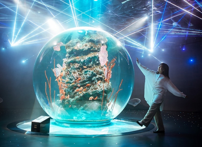 「奇蹟的行星」PLANETS