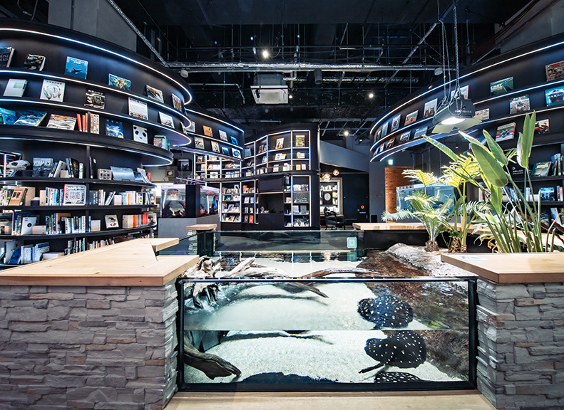 「探求之室」FOYER