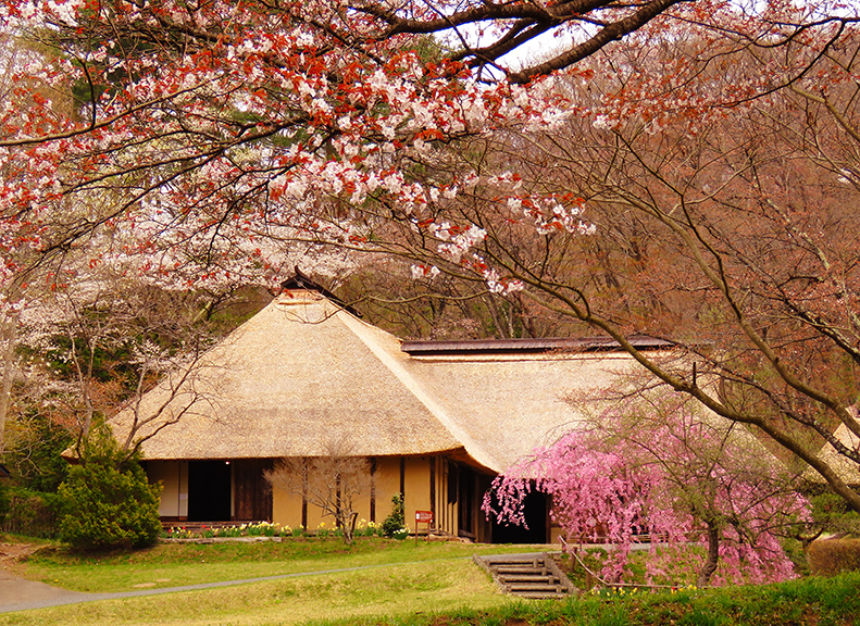 優雅而風情盎然東北地區最著名的戶外博物館