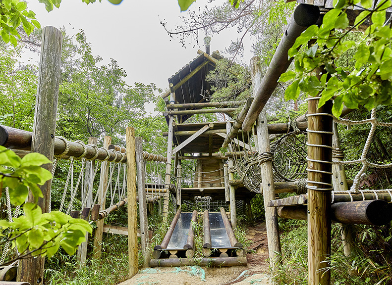 活躍的課程中挑戰約30個遊具