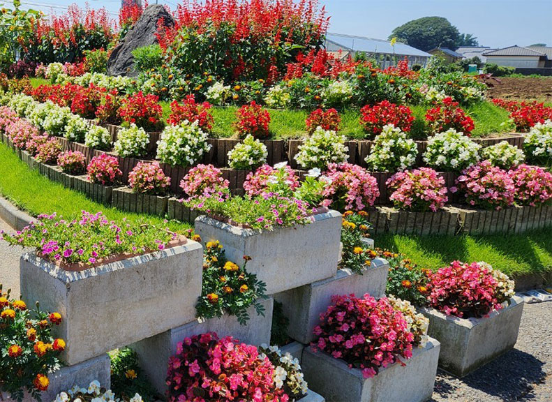 種了很多花致力於地區活動