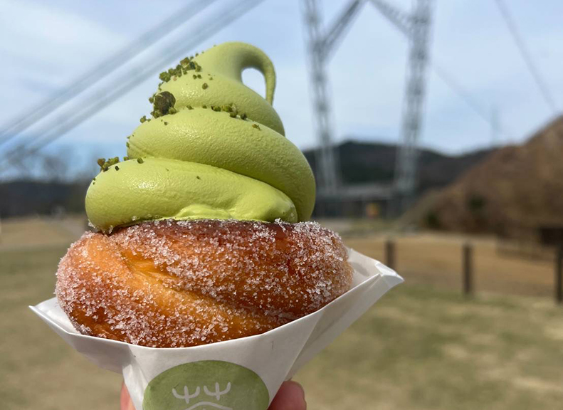 在草地上曬太陽“適合外帶的天氣”