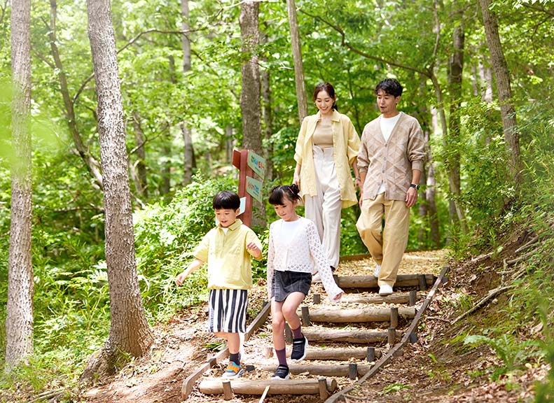 好奇心被激起森中與大自然共舞的冒險