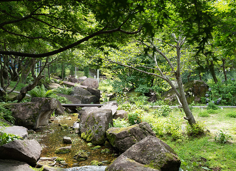 依季節不同美麗的景色與森林的恩惠