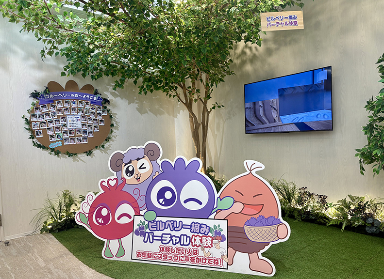 以遊戲感體驗樂趣藍莓體驗