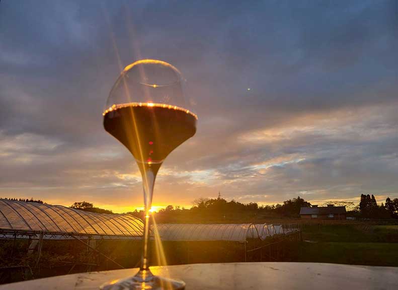 眺望廣闊的葡萄園熱鬧的農園咖啡館