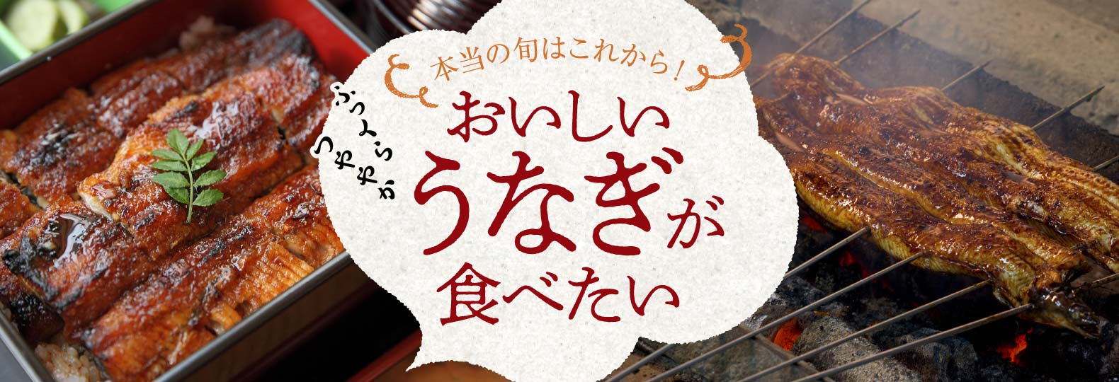 本当の旬はこれから！ おいしいうなぎが食べたい