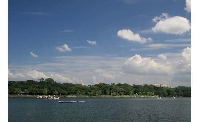 可以享受划船樂趣的大濠公園