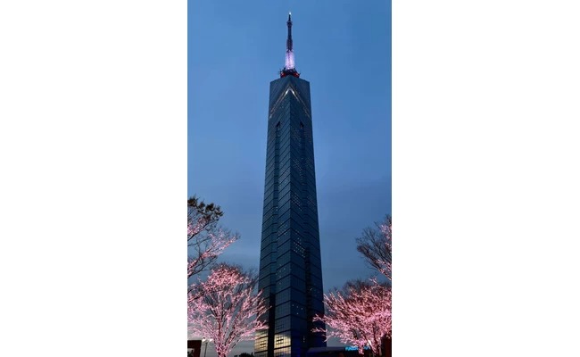 櫻花季節