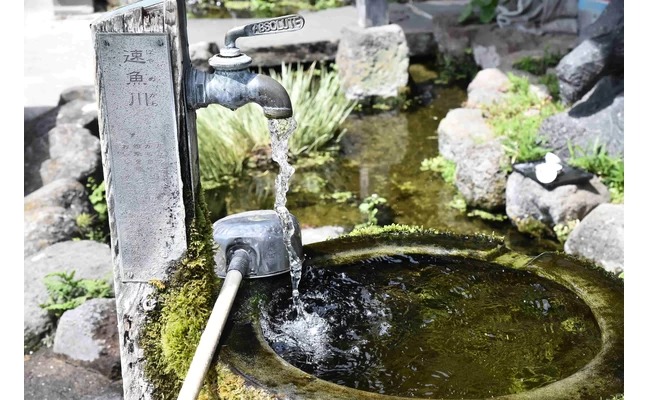 店門口的湧水景點「速魚川（はやめがわ）的湧泉」