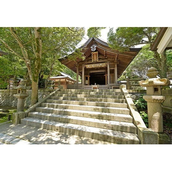 志賀海神社