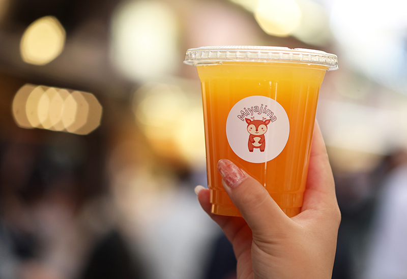 プリムべェール　PriMevErE