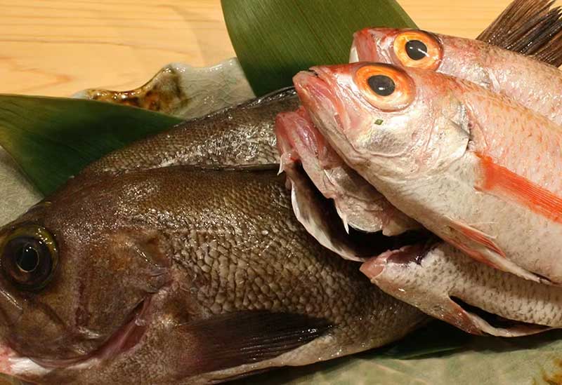 和彩酒菴しずく