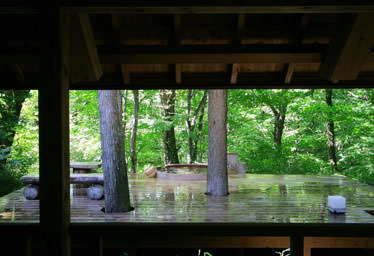 温泉山荘 だいこんの花