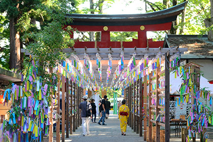 夏の画像2