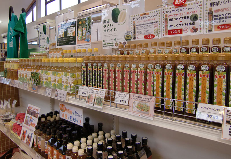 道の駅クロスロードみつぎ