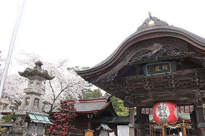 春の画像2