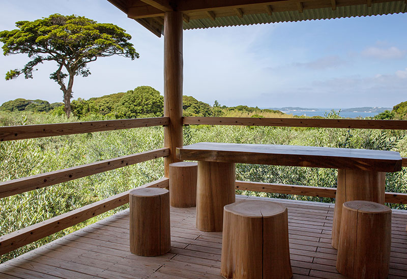 壱岐オリーブ園