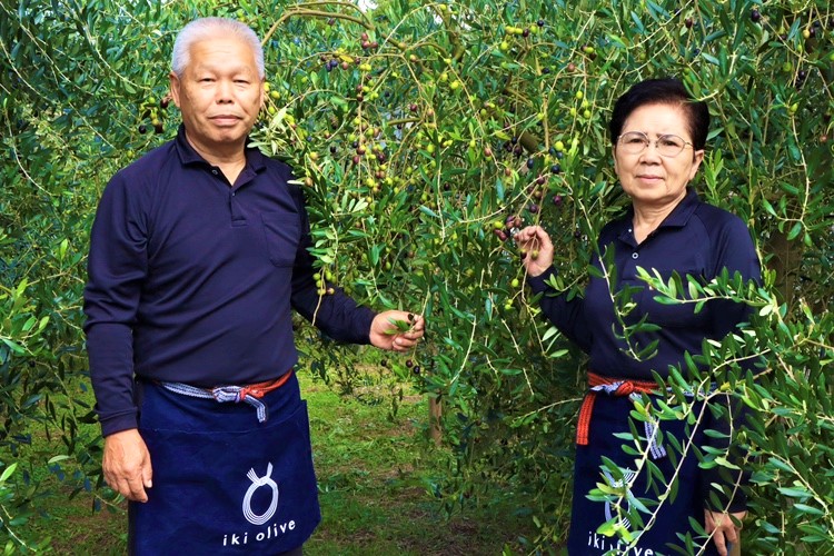 壱岐オリーブ園