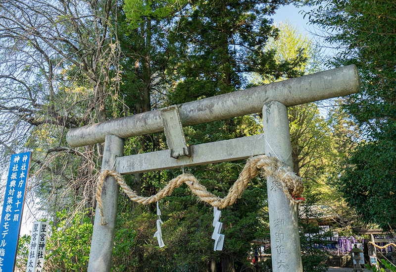 下野星宮神社