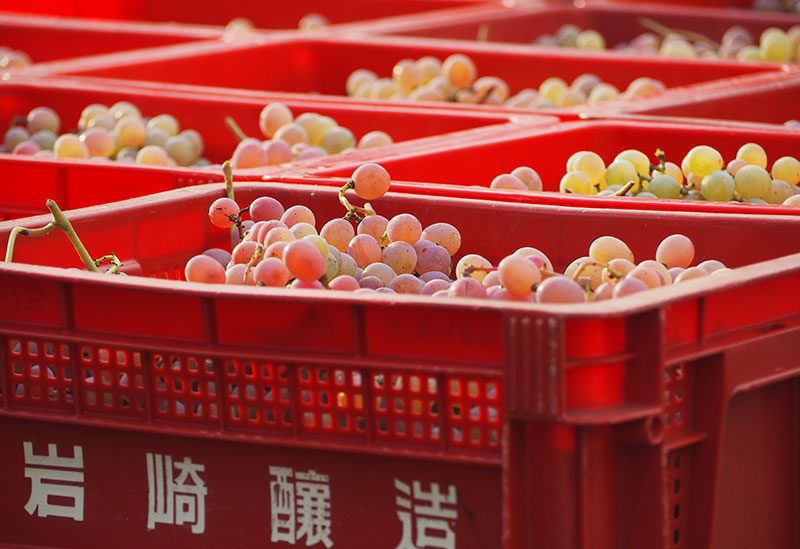 岩崎醸造株式会社