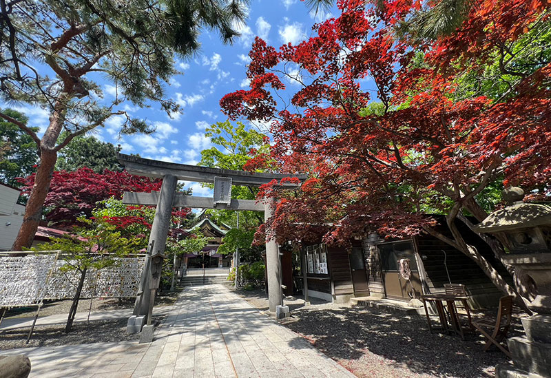 彌彦神社