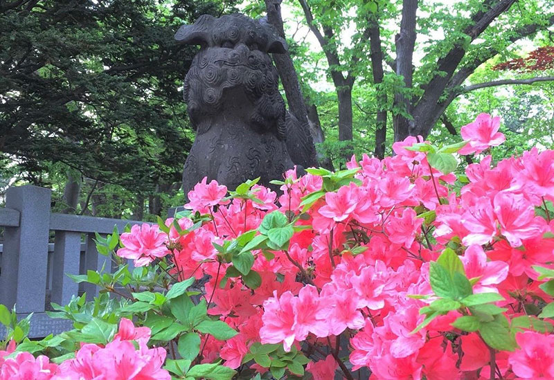 彌彦神社