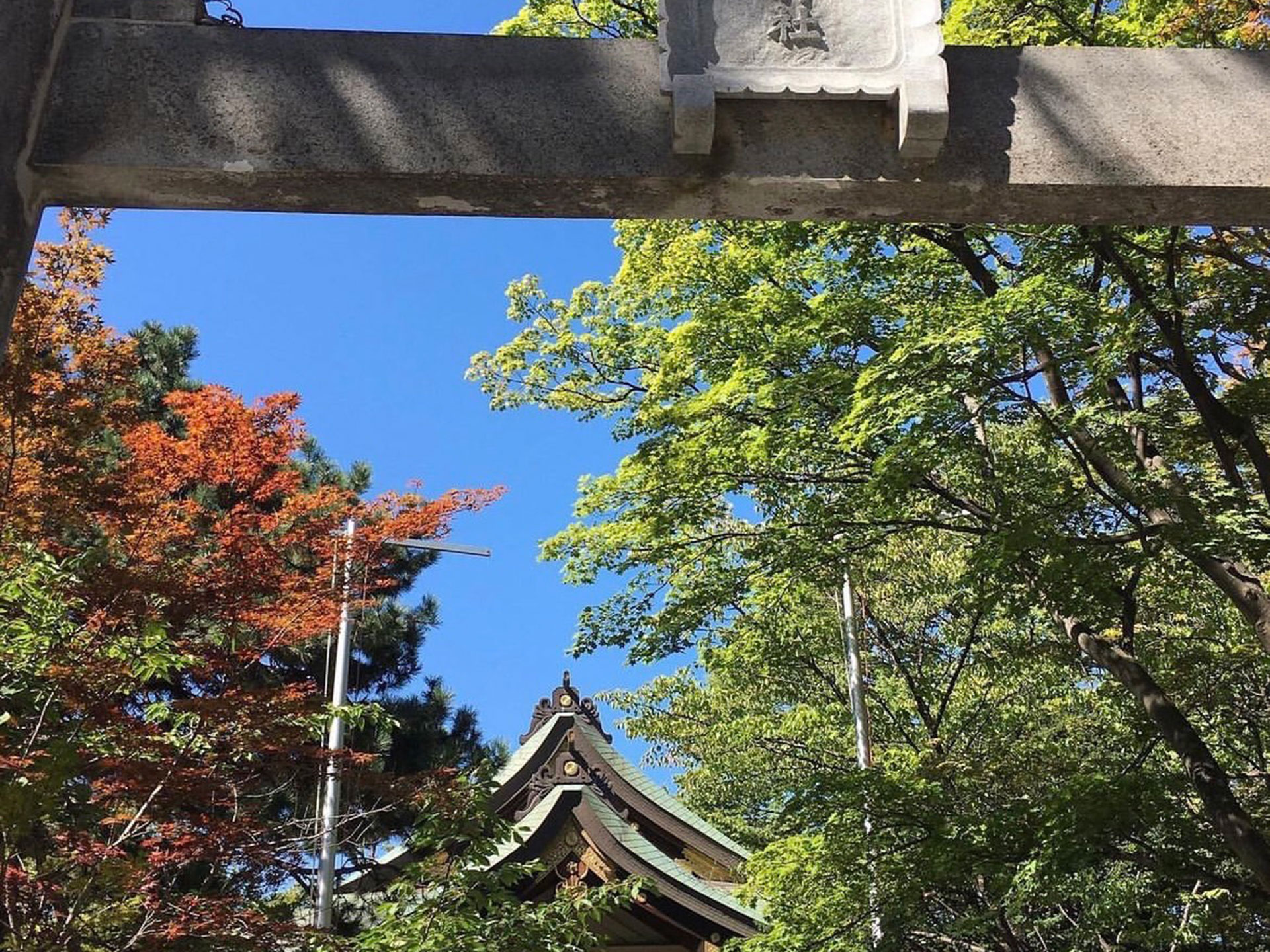 彌彦神社