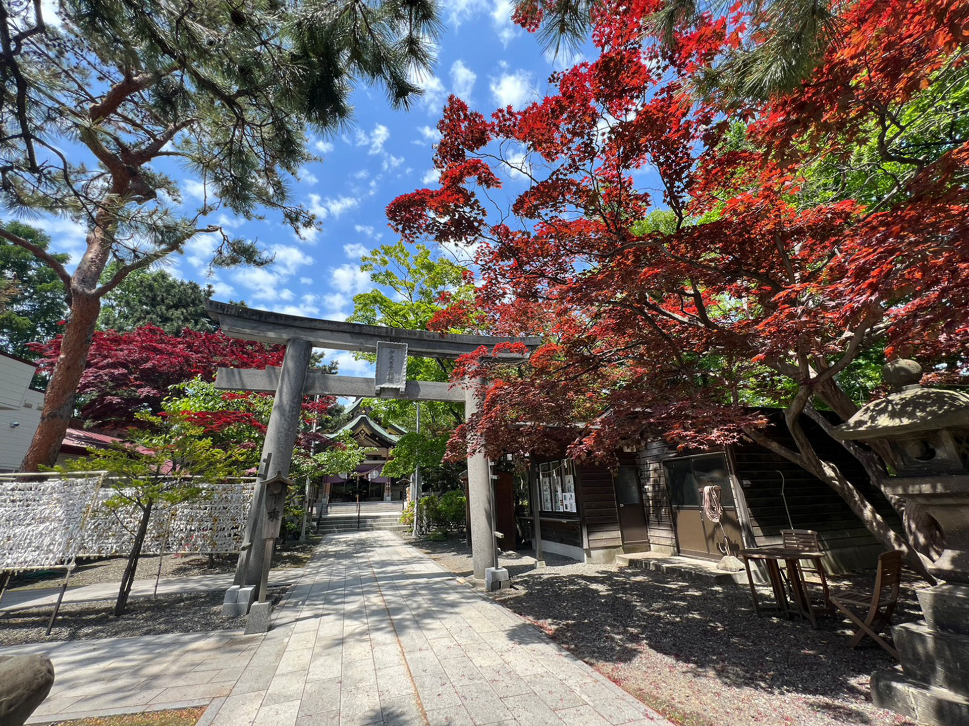 彌彦神社