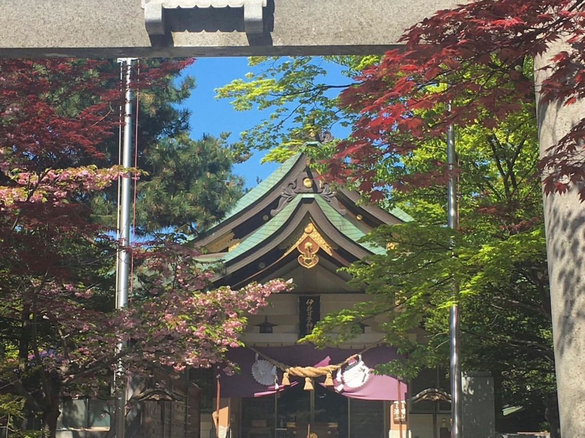 彌彦神社