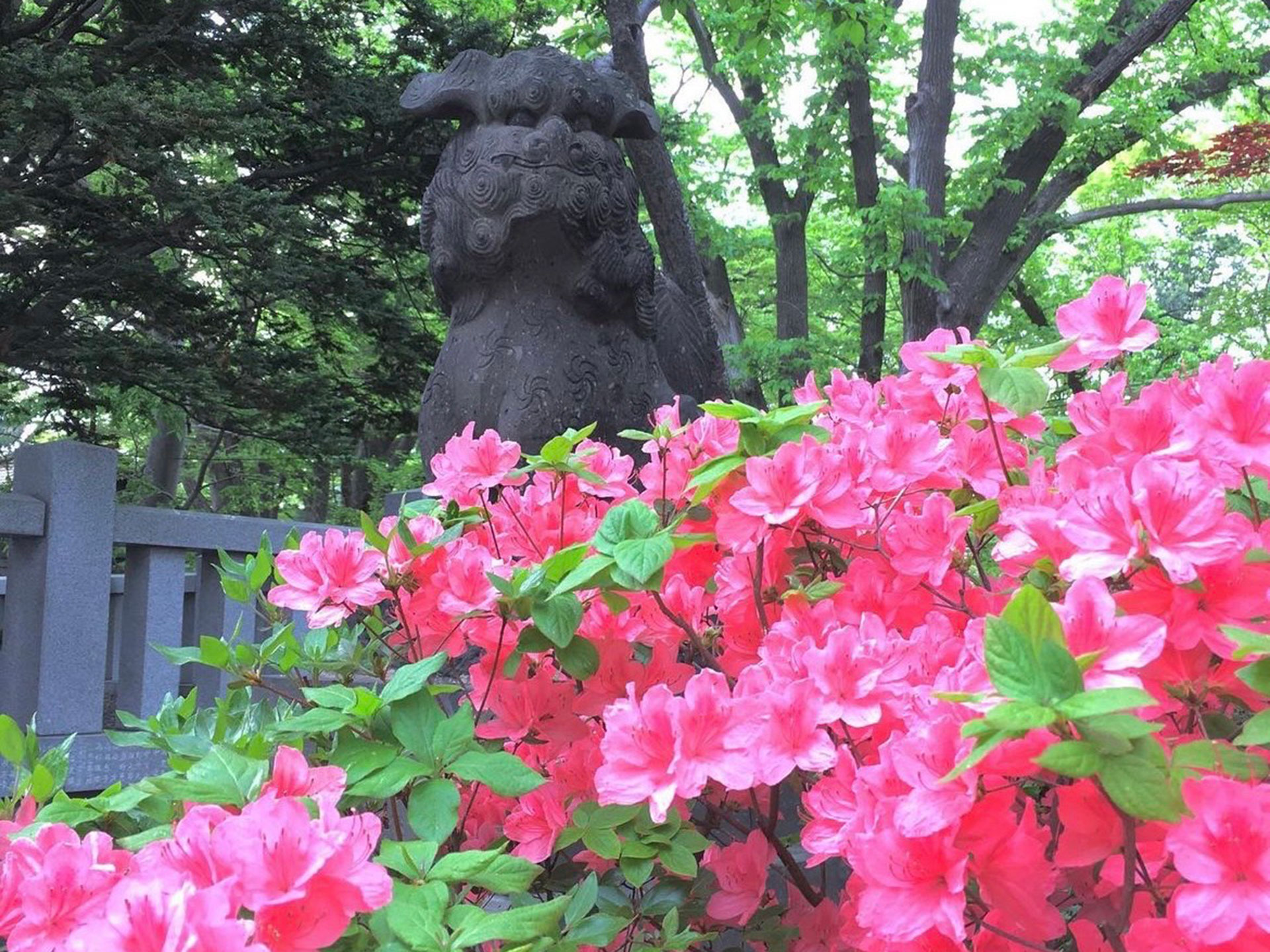 彌彦神社