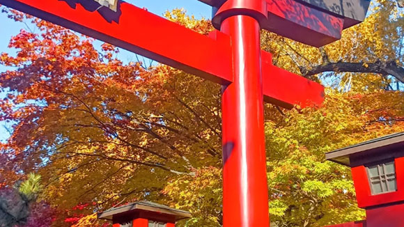秋の画像1