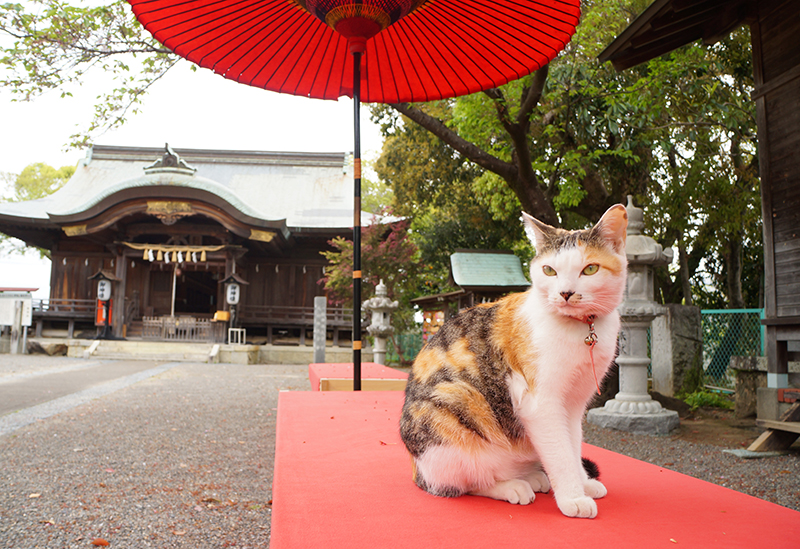 一條神社
