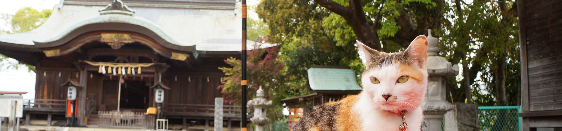 一條神社
