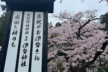 春の画像2