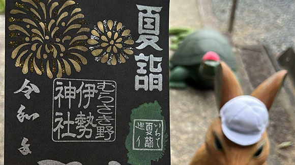 夏の画像1