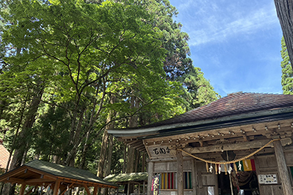 夏の画像2