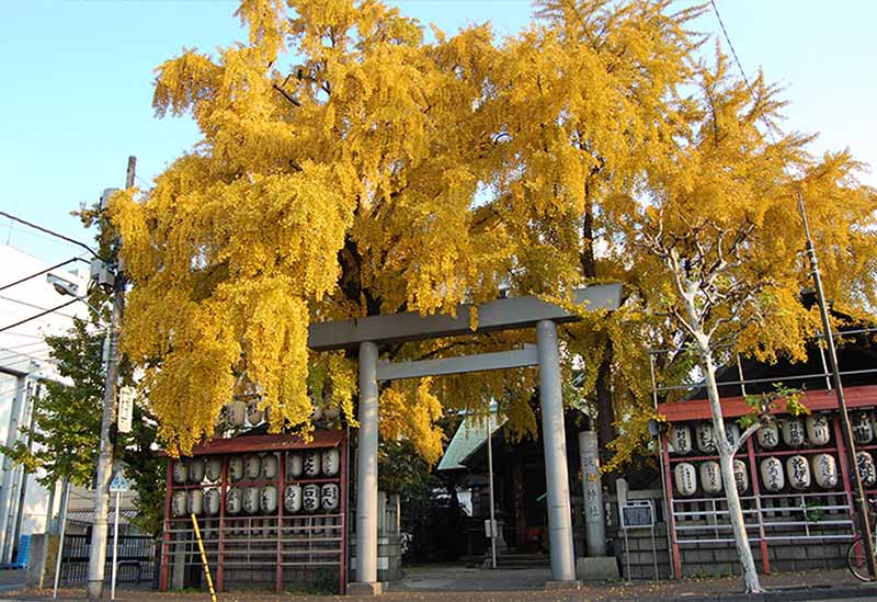 波除神社